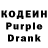 Кодеин Purple Drank Vasukivka