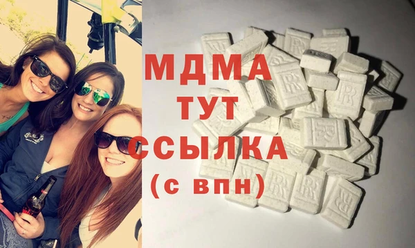 гидра Богородск