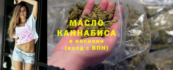 гидра Богородск
